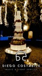 Lights for Weddind 13.jpg